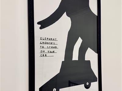Picture 14